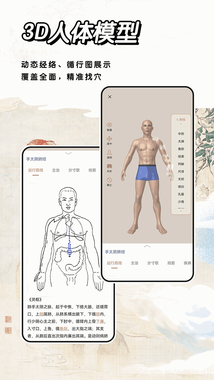 中医经络穴位标准指南